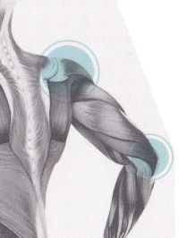 Étienne DESEURE - Sport Santé Domicile